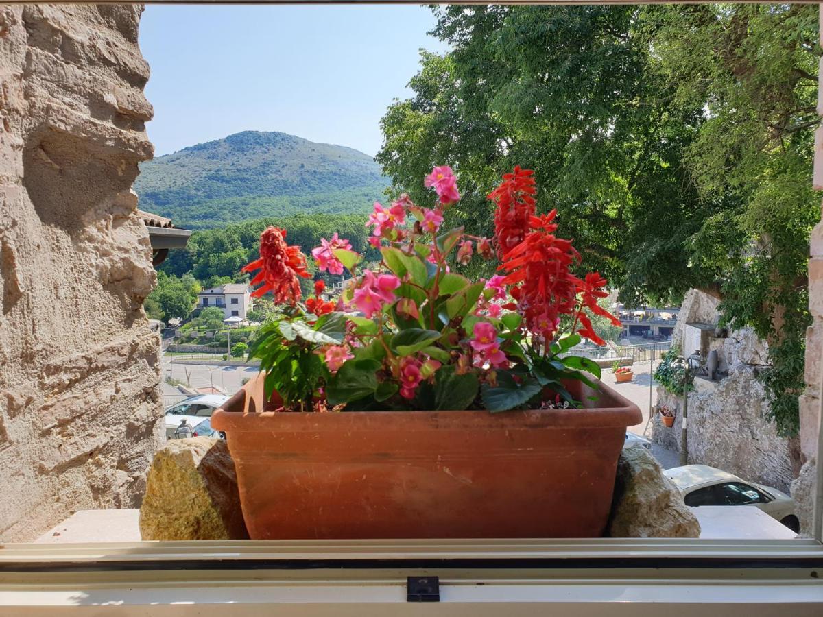 Casa Di Mamma Rosa Villa Castelnuovo Parano Exteriör bild